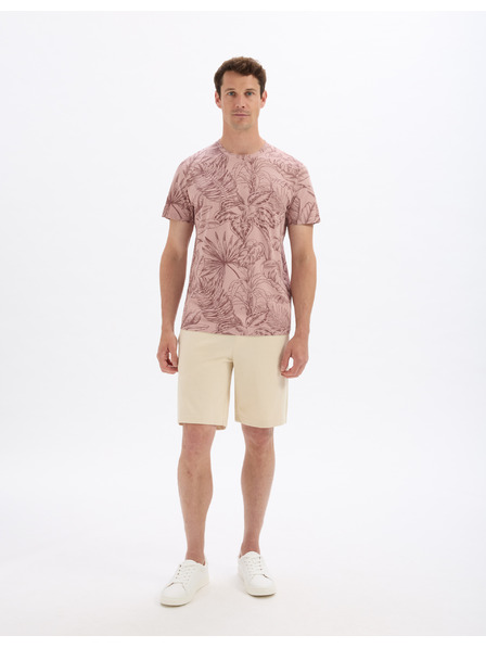 Celio Majica Lesafari