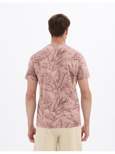 Celio Majica Lesafari