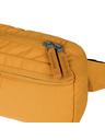 BAAGL  BAAGL Torbica oko struka Go Yellow GRS