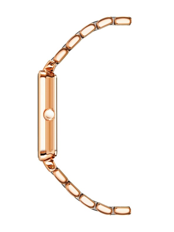 Anne Klein Ženske ručne satove Anne Klein AK/3668NVRG