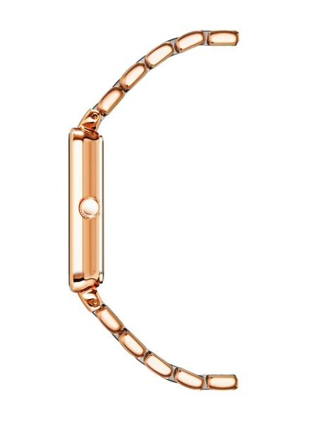 Anne Klein Ženske ručne satove Anne Klein AK/3668NVRG