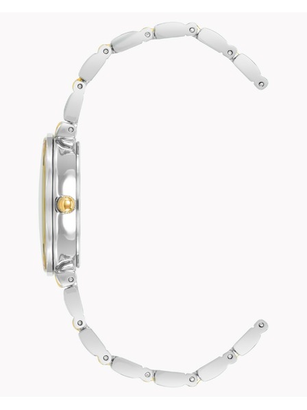 Anne Klein Ženske ručne satove Anne Klein AK/2435SVTT
