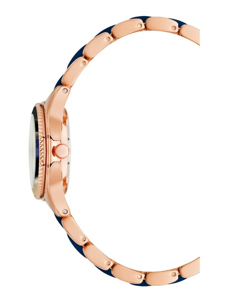 Anne Klein Ženske ručne satove Anne Klein AK/3212RGNV