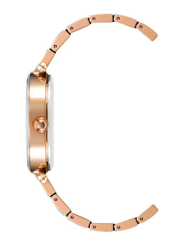 Anne Klein Ženske ručne satove Anne Klein AK/3844NVRG