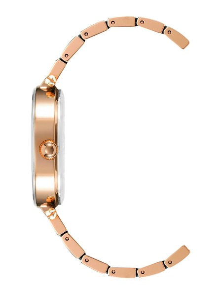 Anne Klein Ženske ručne satove Anne Klein AK/3844NVRG