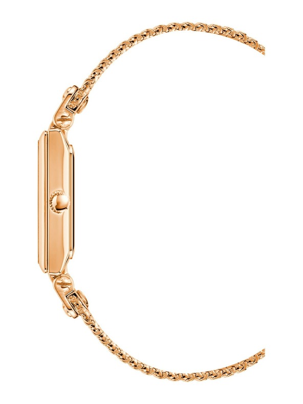 Anne Klein Ženske ručne satove Anne Klein AK/3882RGRG