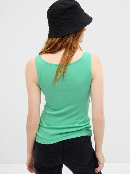 GAP Rebrasto potamnjen GAP