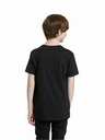 Meatfly Meatfly dječje majice Artee Black