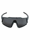 Meatfly Meatfly polarizacijske sunčane naočale Nate Morph Black