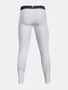 Under Armour Muške kompresijske tajice Under Armour HG Armour Leggings