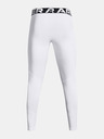 Under Armour Muške tajice Under Armour UA CG Armour Leggings