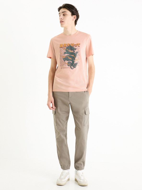 Celio Celio Dolyte sive muške cargo hlače