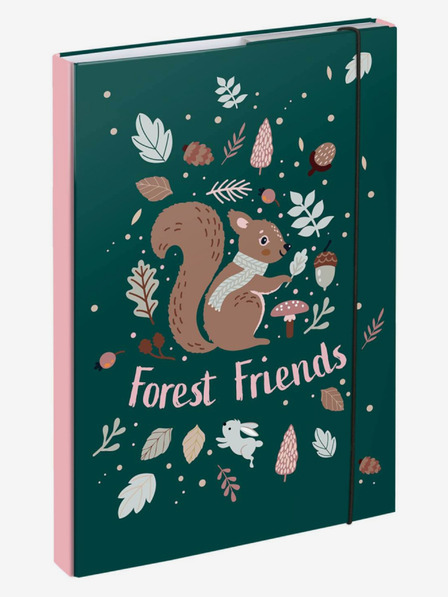 BAAGL  Zelene ploče za školske bilježnice A4 Vjeverica Baagl