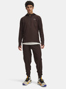 Under Armour Muške sportske hlače Under Armour UA TRAIL RUN PANTS-BRN