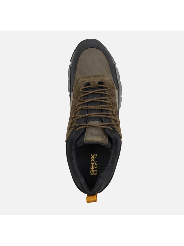 Geox Tamno zelene muške tenisice Geox Doray B Abx
