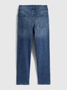 GAP Slim traperice High Rise Vintage Washwell GAP