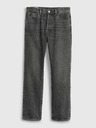 GAP Traperice original straight Button Fly '90s GAP