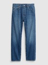 GAP Traperice original straight Button Fly '90s GAP