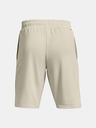 Under Armour Muške kratke hlače Under Armour UA ARMOUR TERRY SHORT