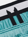 Under Armour Muške kratke hlače Under Armour Pjt Rck Penny Mesh Sts TG