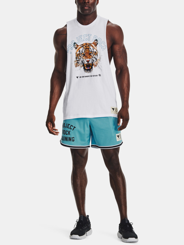 Under Armour Muške kratke hlače Under Armour Pjt Rck Penny Mesh Sts TG