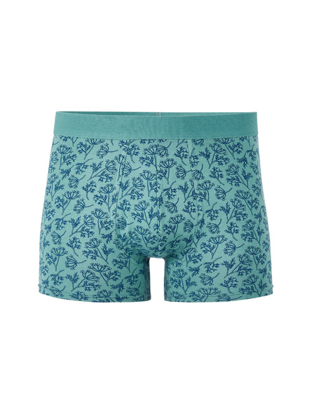 Celio Bokserice Libofloral