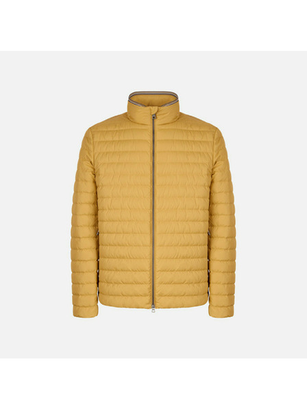 Geox Žuta muška pernata jakna Geox Warrens