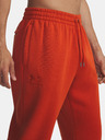 Under Armour Muške trenirke Under Armour UA Icon Fleece Jogger-ORG
