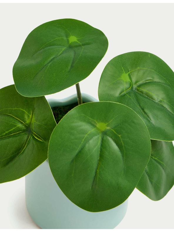 Marks & Spencer Marks & Spencer Pilea umjetni mini lonac za biljke