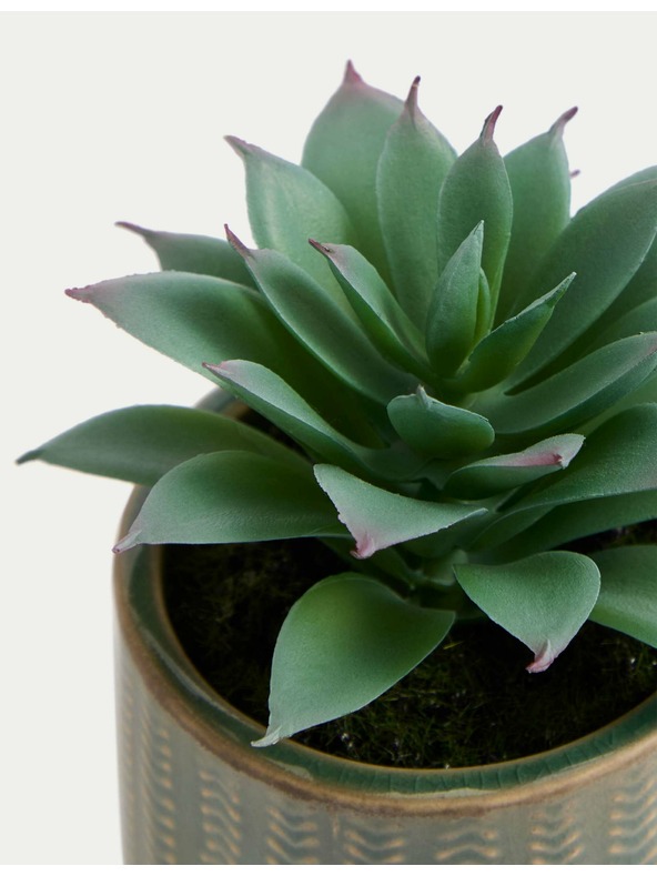 Marks & Spencer Zeleni umjetni mini sukulent u Marks & Spencer zelenoj keramičkoj posudi