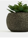 Marks & Spencer Umjetni mini sukulent u betonskoj žardinjeri Marks & Spencer