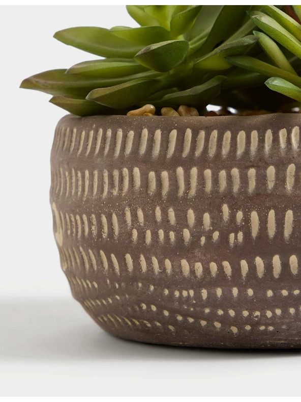 Marks & Spencer Umjetni sukulenti u betonskoj posudi Marks & Spencer siva