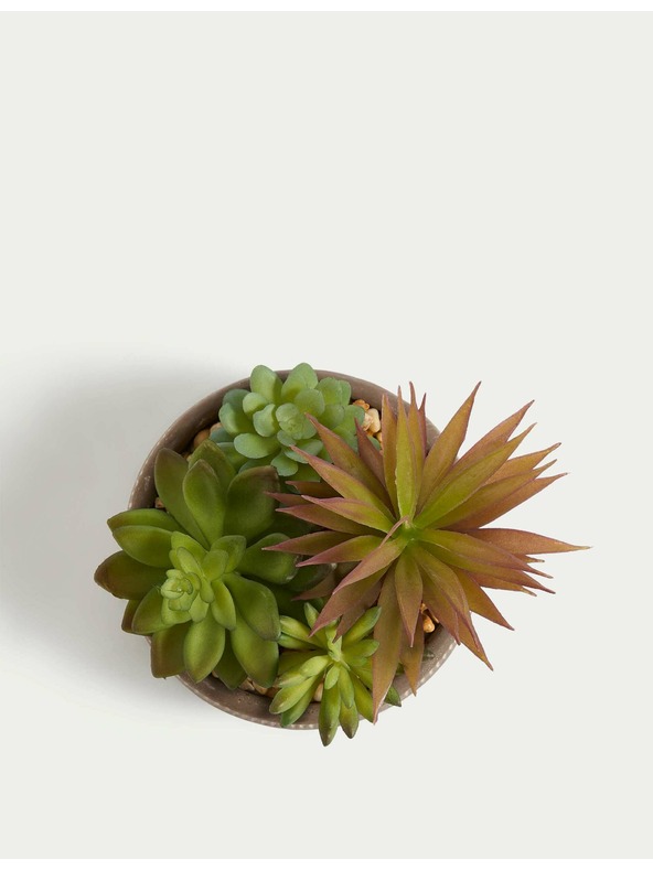 Marks & Spencer Umjetni sukulenti u betonskoj posudi Marks & Spencer siva