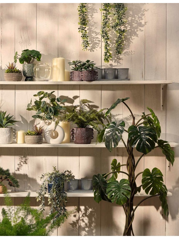 Marks & Spencer Umjetni sukulenti u betonskoj posudi Marks & Spencer siva