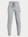 Under Armour Dječje hlače Under Armour Eu Cotton Fleece Jogger