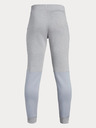 Under Armour Dječje hlače Under Armour Eu Cotton Fleece Jogger