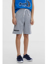 Sam 73 Siva dječačka trenirka kratke hlače SAM 73 Flop