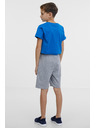 Sam 73 Siva dječačka trenirka kratke hlače SAM 73 Flop