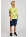 Sam 73 Žuta dječačka pamučna majica SAM73 Pyrop