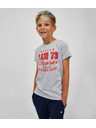 Sam 73 Svijetlo siva dječačka majica kratkih rukava s šarama SAM 73 Janson