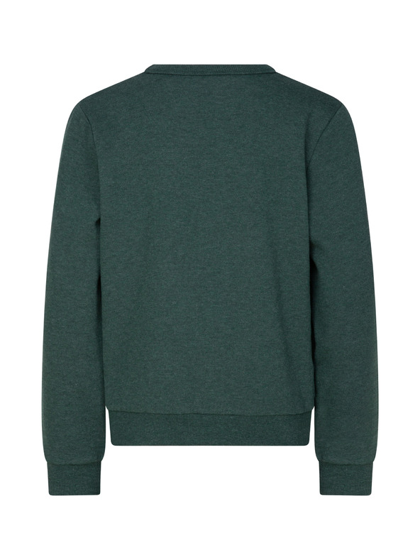 Sam 73 Tamnozelena dječačka majica s printom SAM 73 Brandon