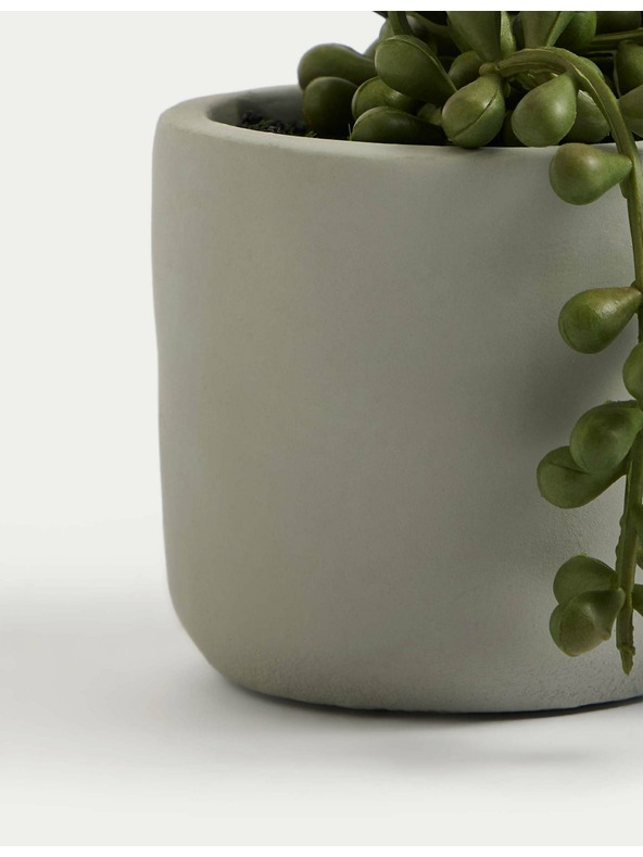 Marks & Spencer Umjetni mini viseći starčić u posudi Marks & Spencer zelena