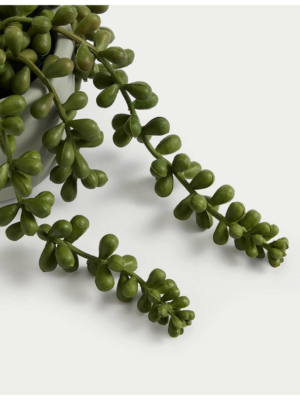 Marks & Spencer Umjetni mini viseći starčić u posudi Marks & Spencer zelena