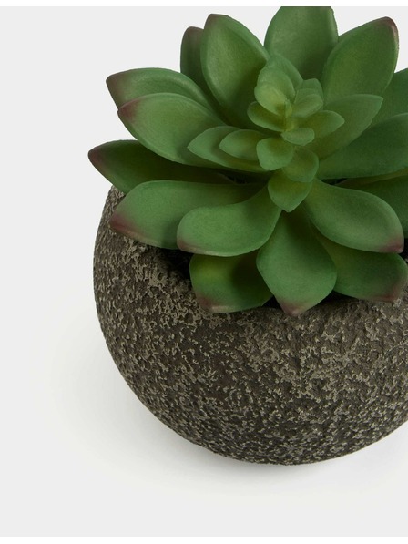 Marks & Spencer Umjetni mini sukulent u betonskoj posudi Marks & Spencer zelena