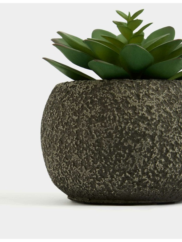 Marks & Spencer Umjetni mini sukulent u betonskoj posudi Marks & Spencer zelena