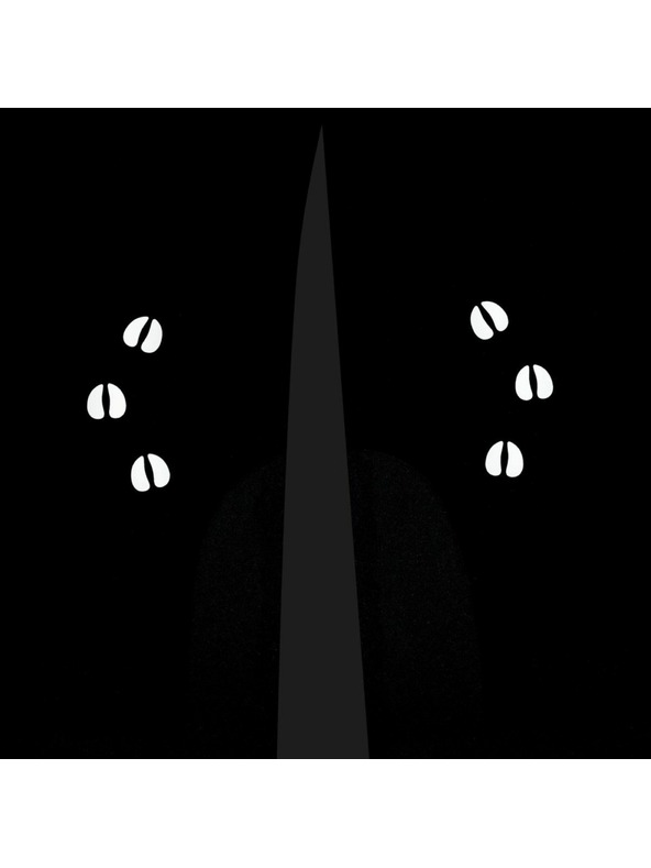 Kilpi Dječje skijaške hlače Kilpi CHARLIE-J Crna