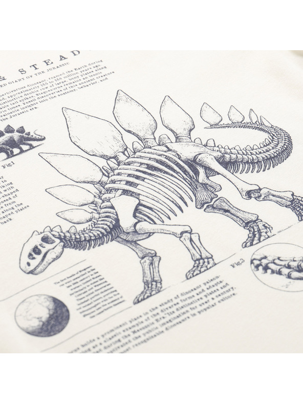 ALPINE PRO Dječje majice od organske pamučne ALPINE PRO ECCO 2 creme varijanta pf