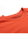 ALPINE PRO Muška majica s cool-dry tretmanom ALPINE PRO GREM 2 red clay varijanta pa