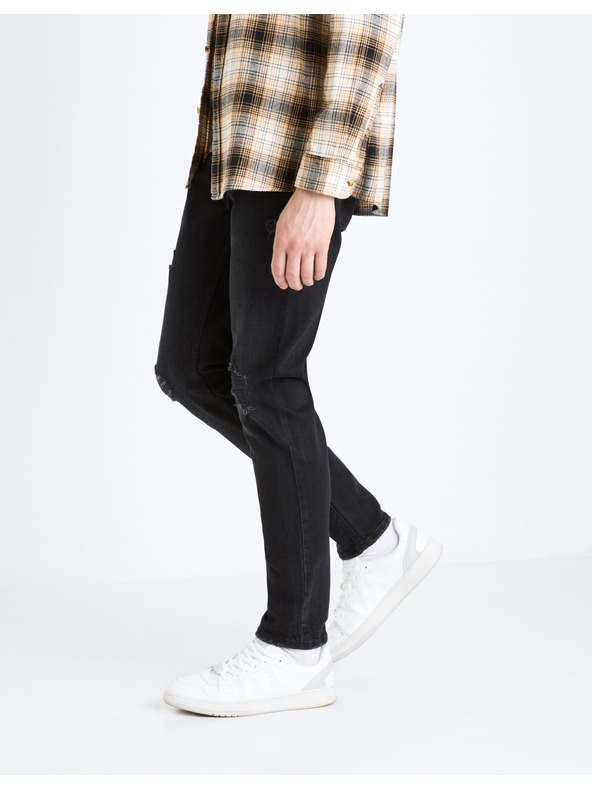 Celio Fostroy Traperice