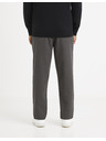 Celio Sive Celio skraćene muške hlače